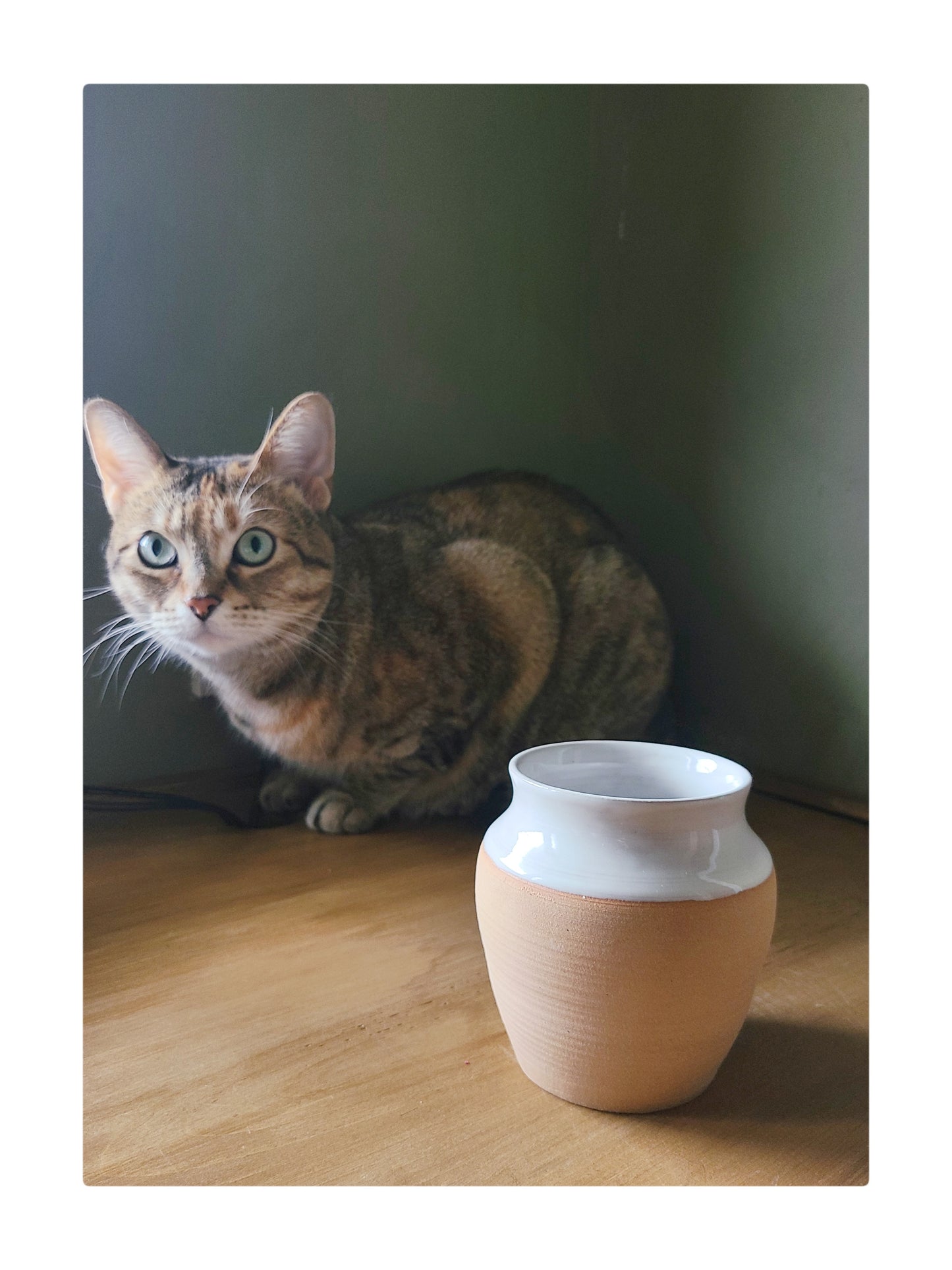 Shannon Penner Pottery