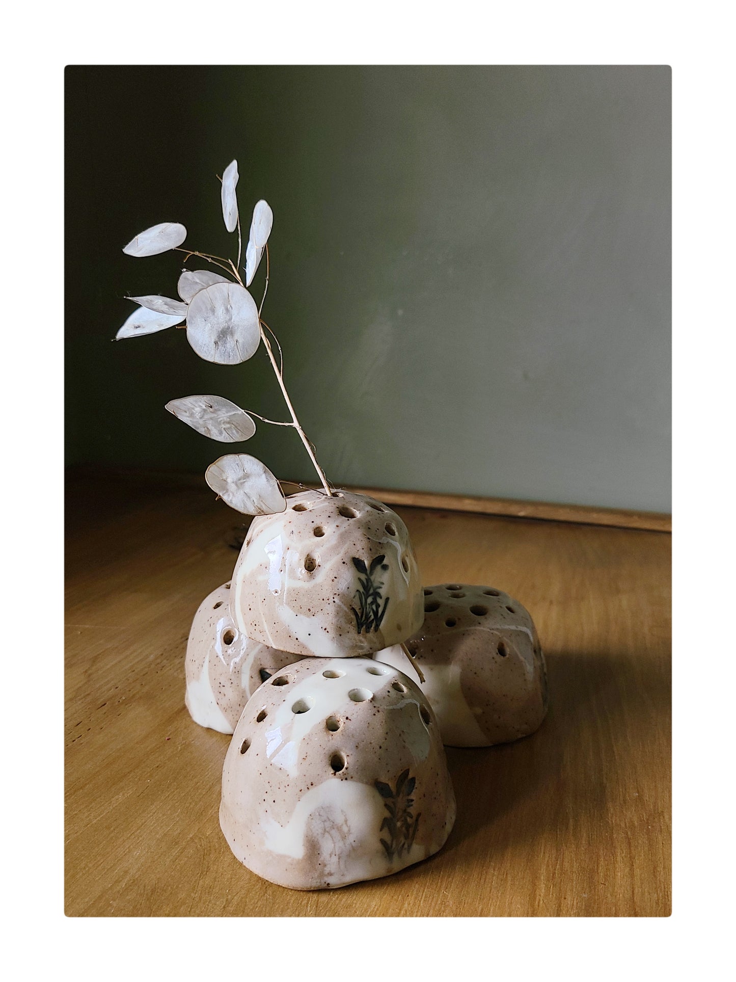 Flower Frog "Dome Bottom Dwellers"
