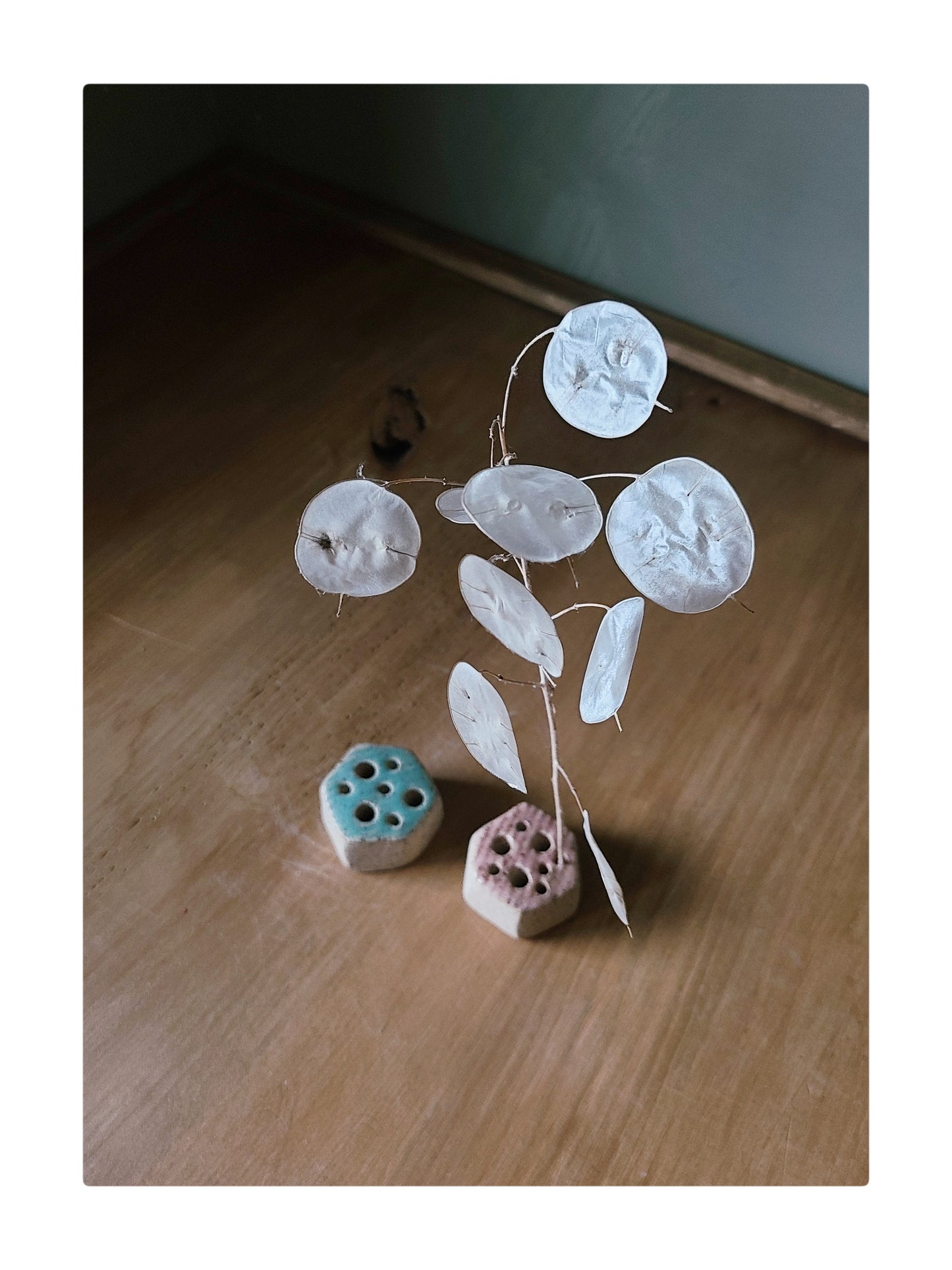 Shannon Penner Pottery