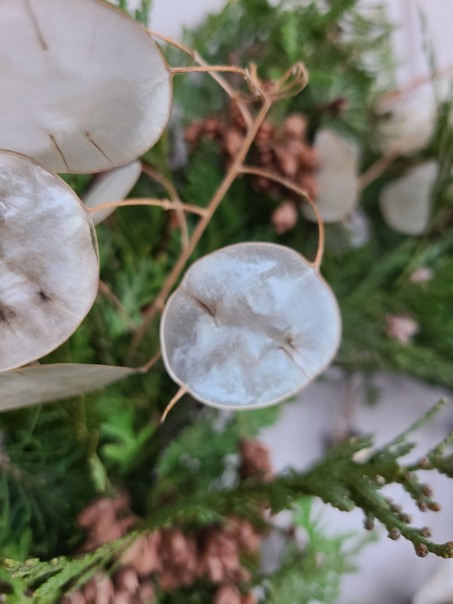Fresh Evergreen Wreath