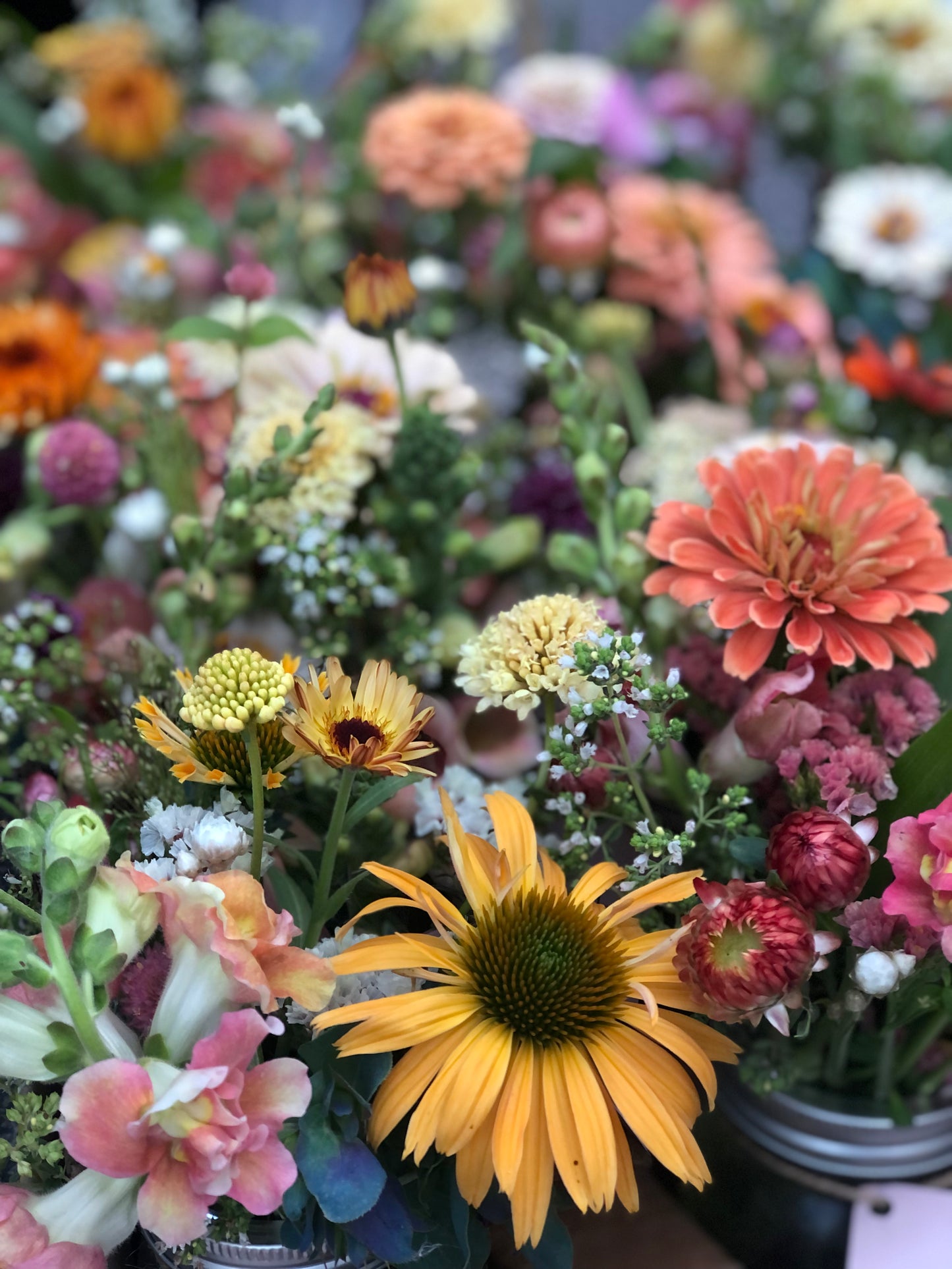 JULY Floral Subscription
