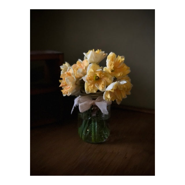 Jars of Specialty Daffodils