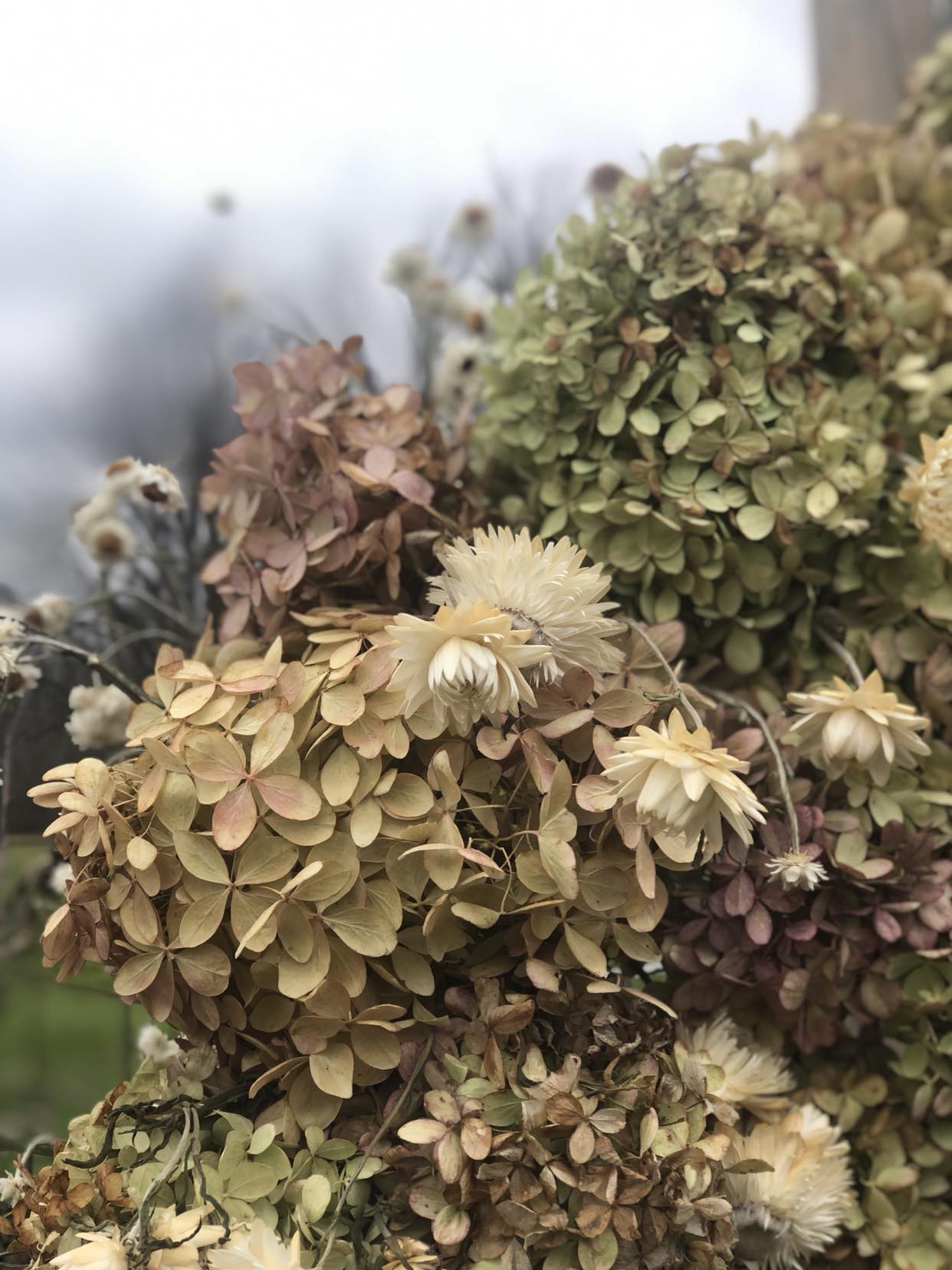 Everlasting Wreath