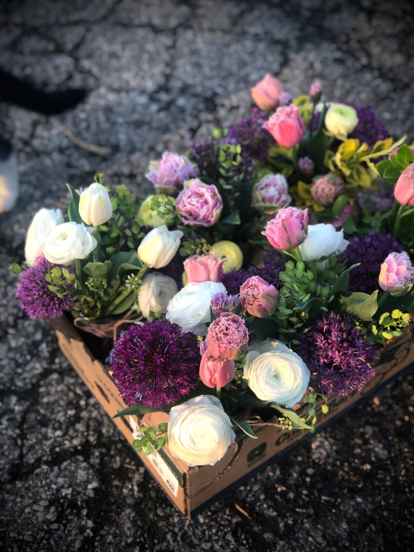 ALL SEASON Floral Subscription (May-September 2025)