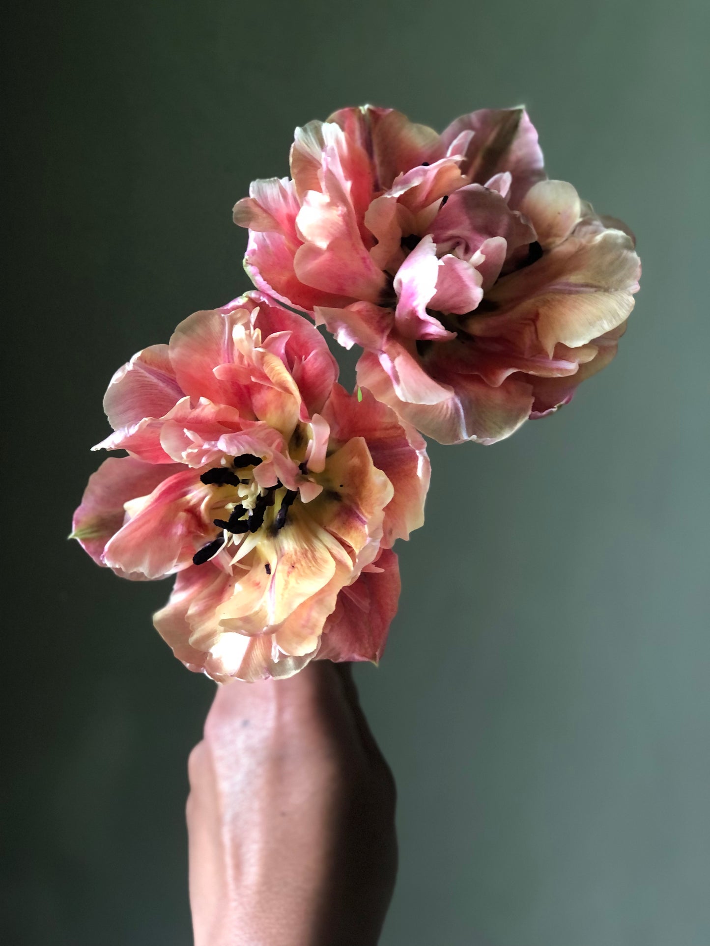 SPRING Floral Subscription