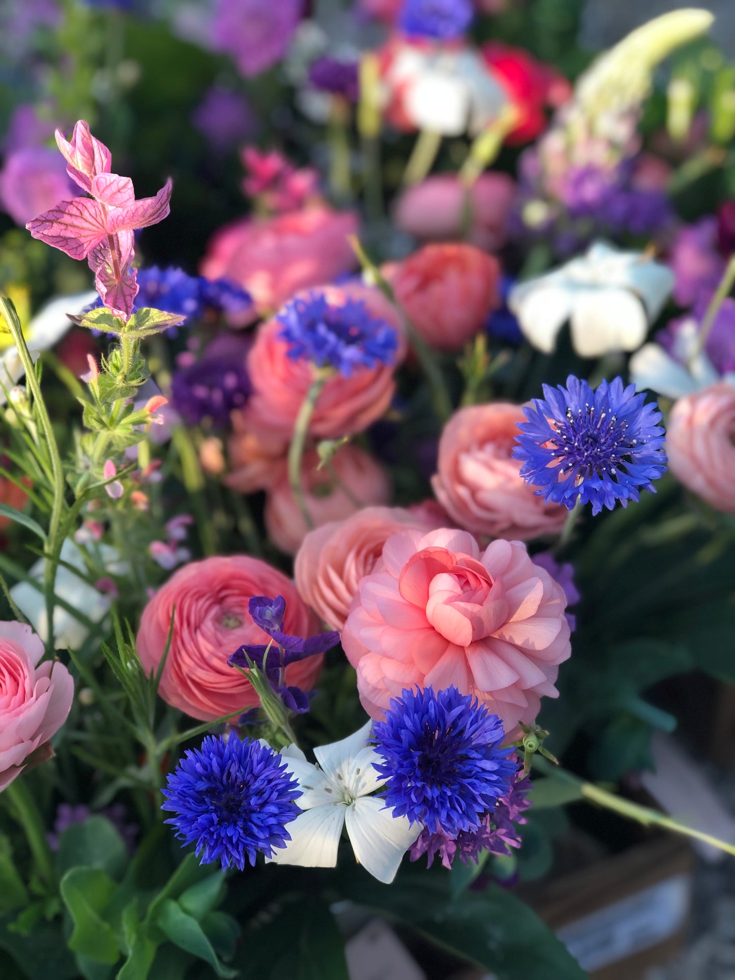 ALL SEASON Floral Subscription (May-September 2025)