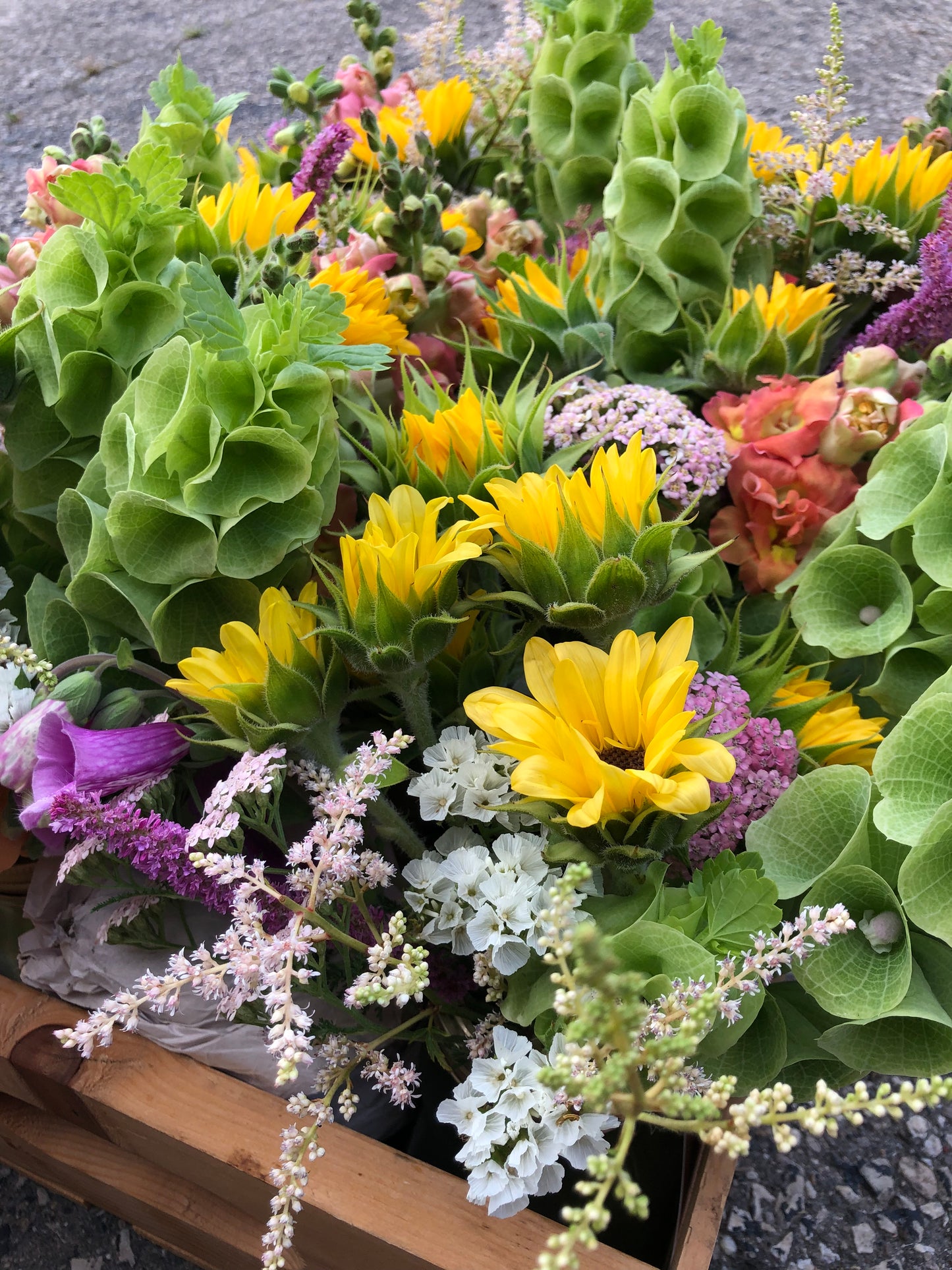 ALL SEASON Floral Subscription (May-September 2025)