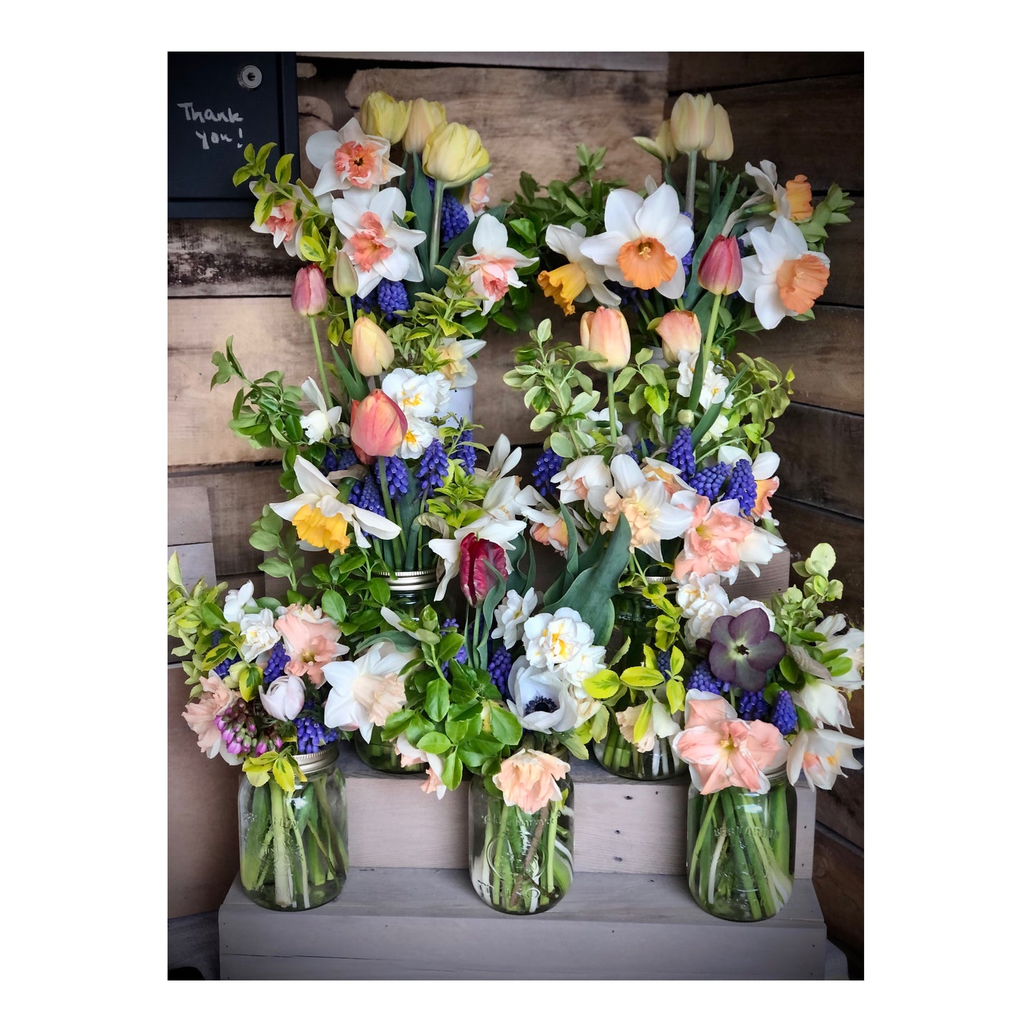 ALL SEASON Floral Subscription (May-September 2025)