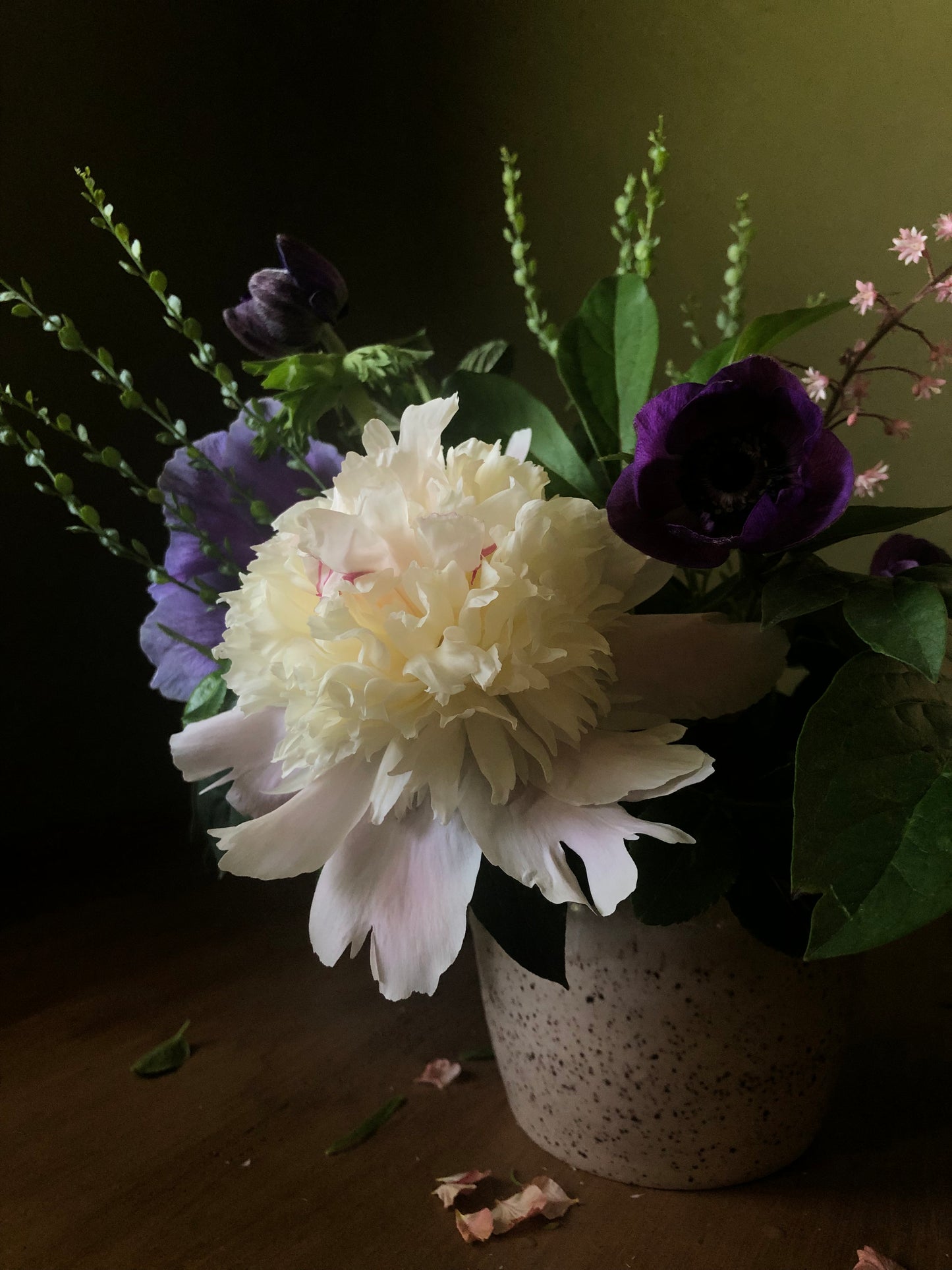 ALL SEASON Floral Subscription (May-September 2025)