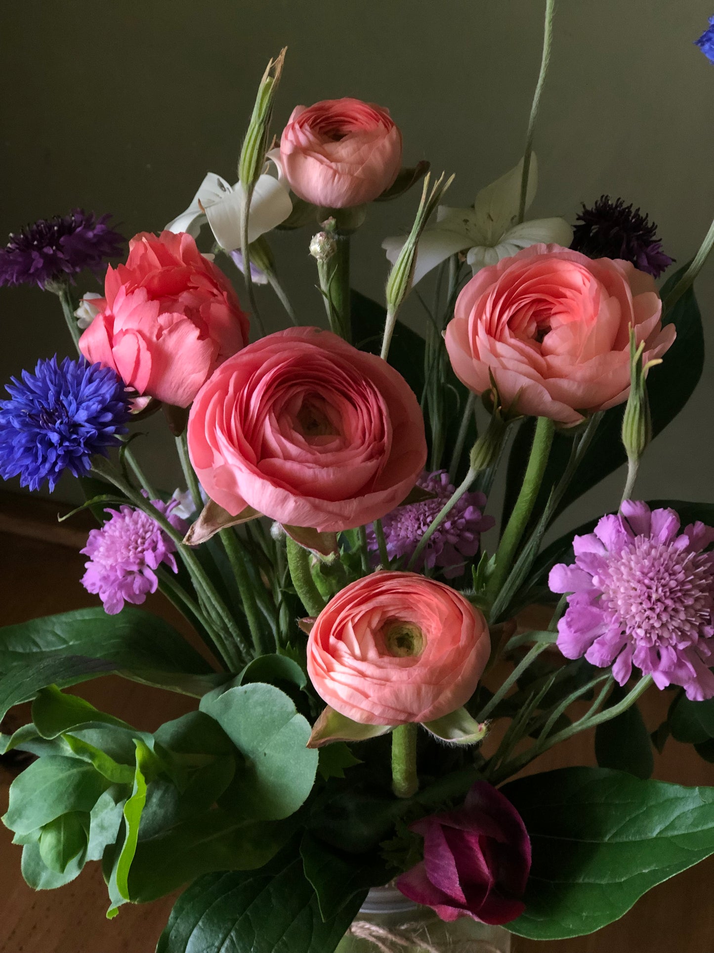 ALL SEASON Floral Subscription (May-September 2025)