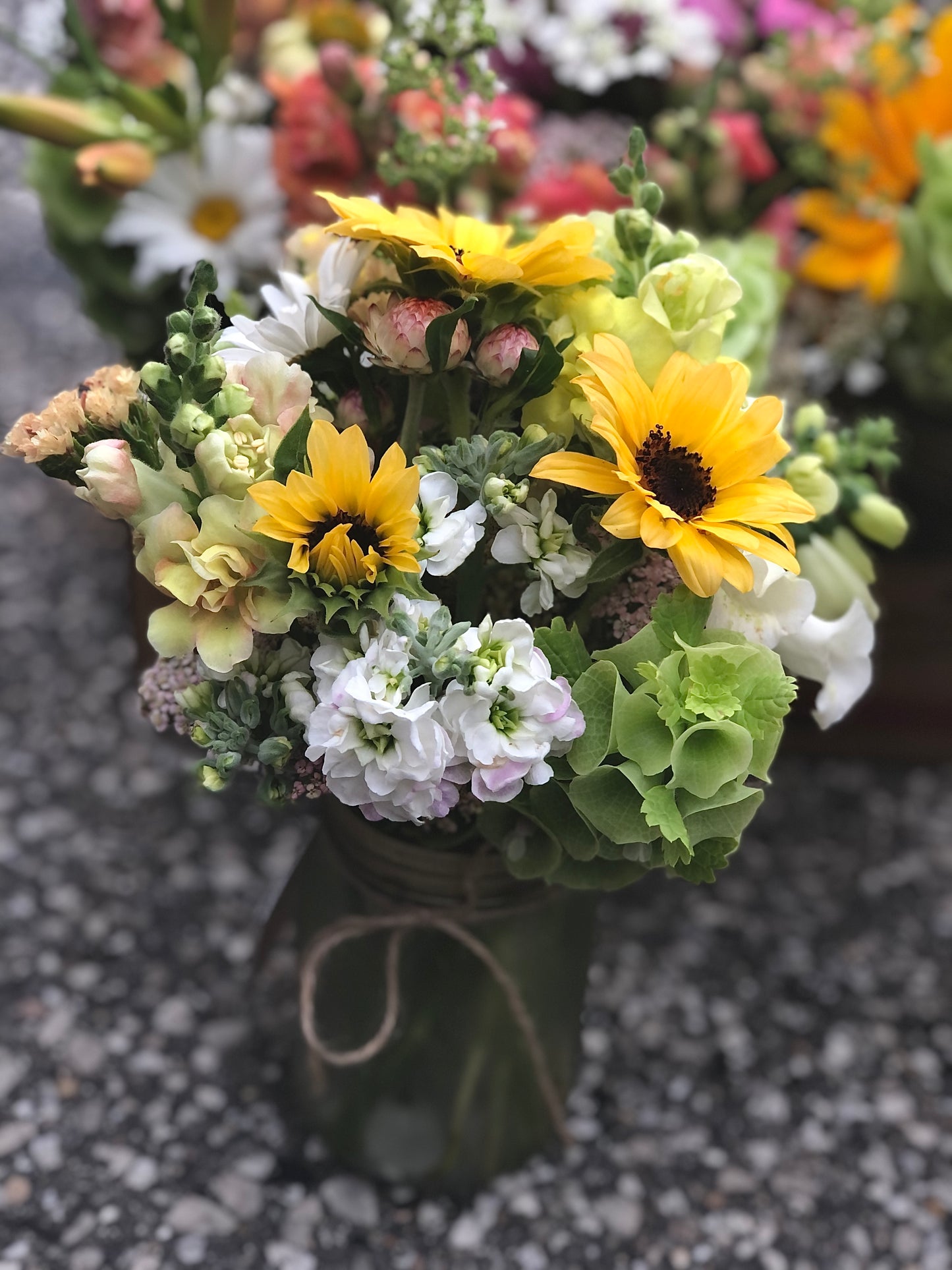 ALL SEASON Floral Subscription (May-September 2025)