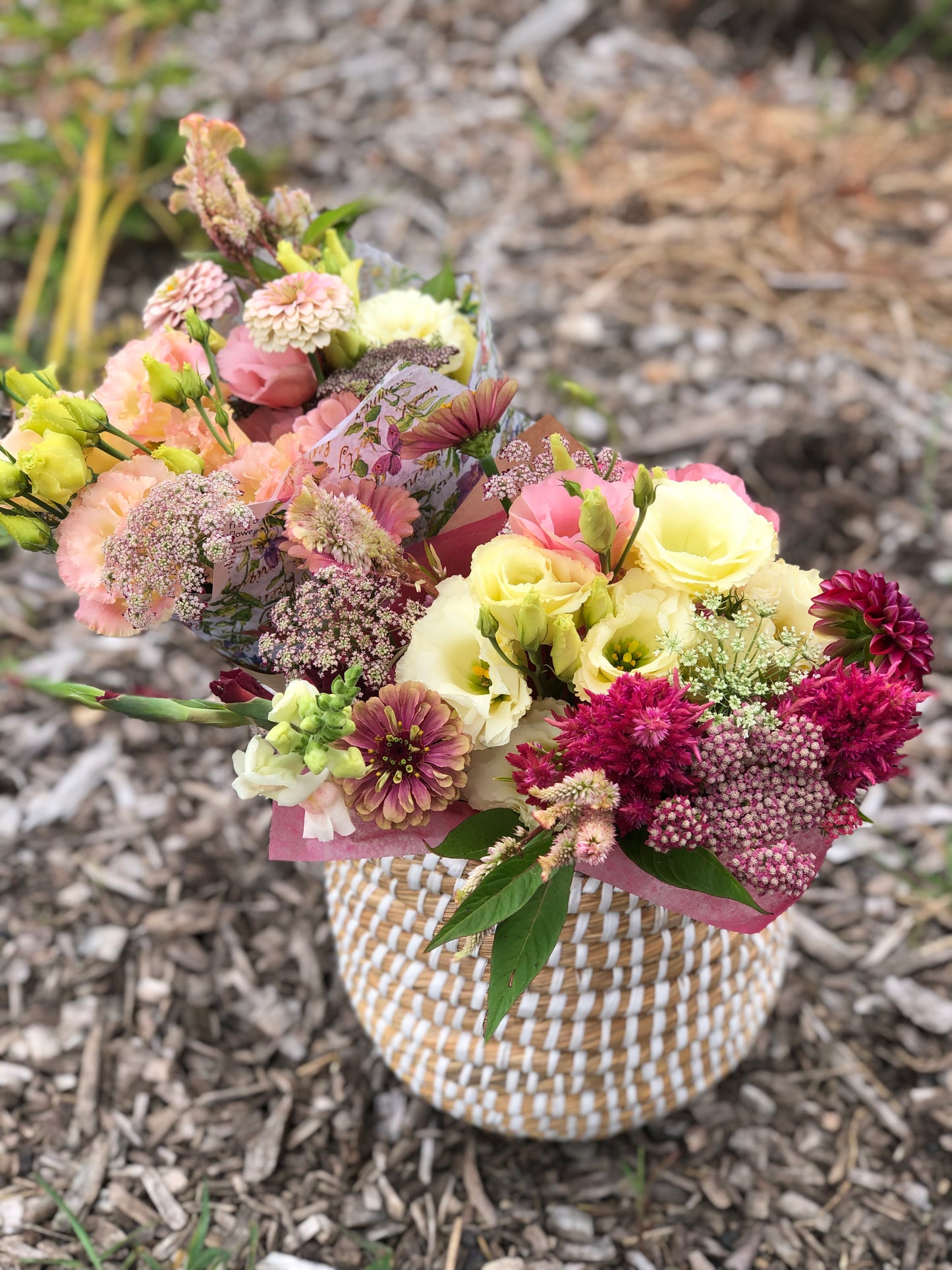 ALL SEASON Floral Subscription (May-September 2025)