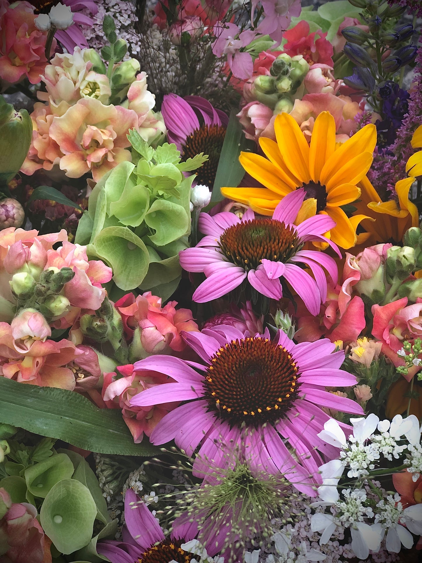 ALL SEASON Floral Subscription (May-September 2025)