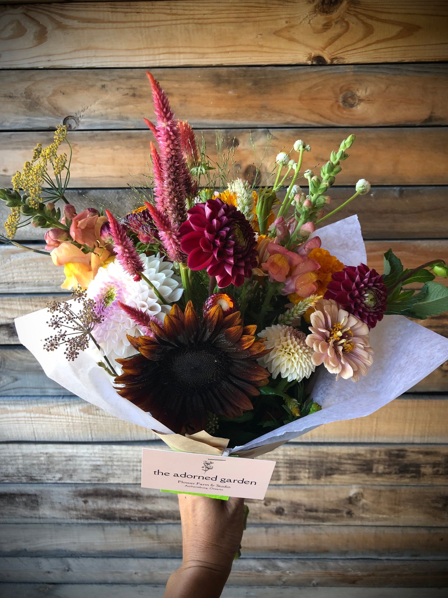 ALL SEASON Floral Subscription (May-September 2025)