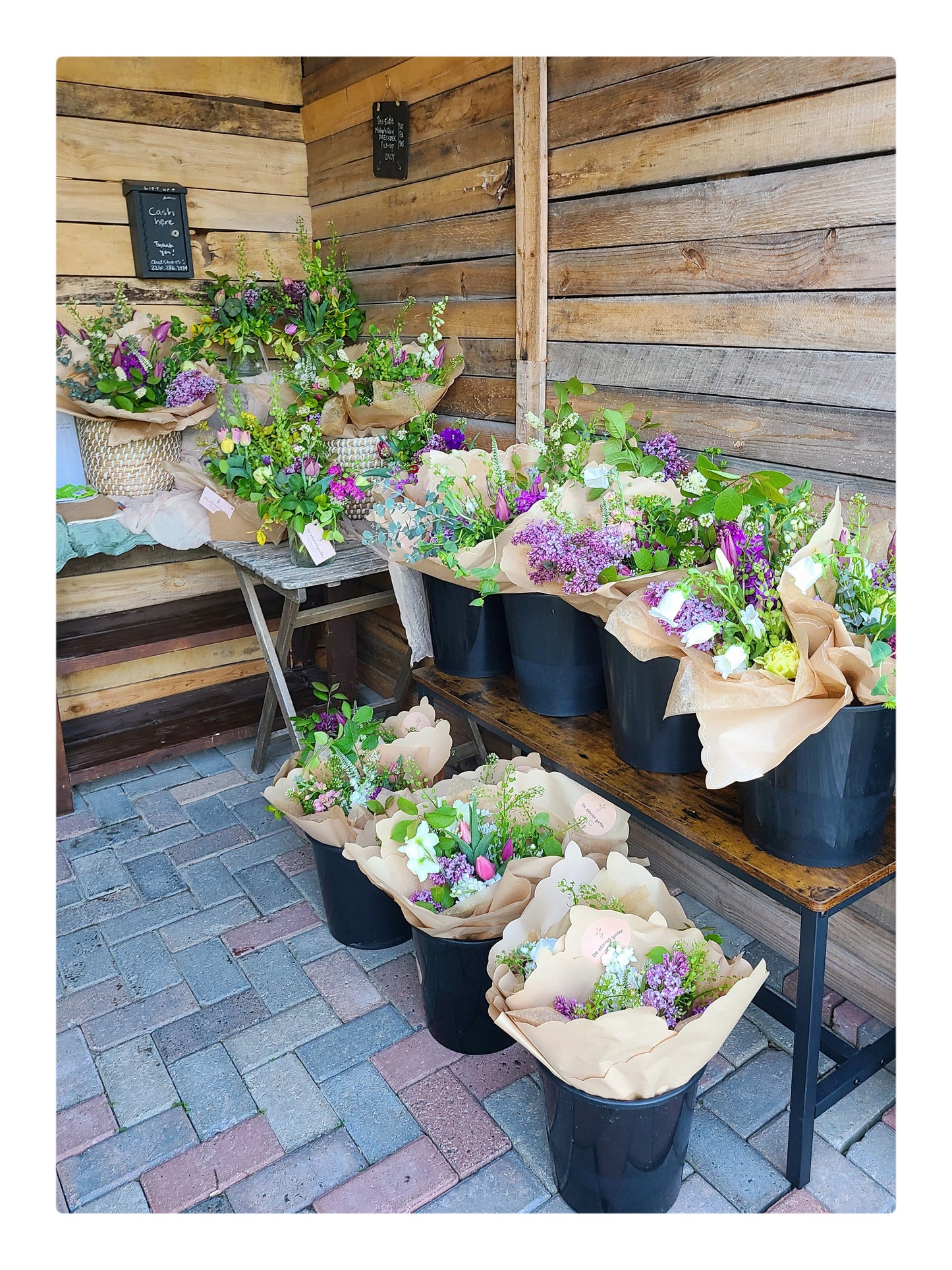 Mother’s Day Preorders