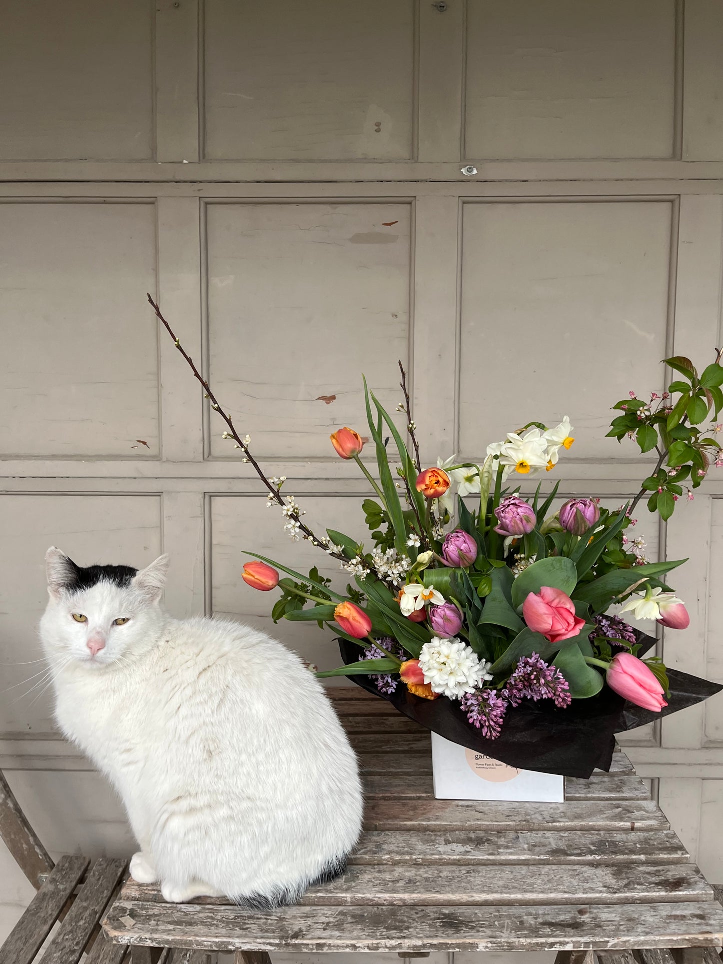 Mother’s Day Preorders